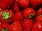 _fragole.jpg