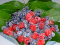 frutti-di-bosco-1.jpg