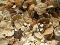 muesli