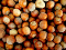 nocciole