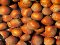 nocciole.jpg