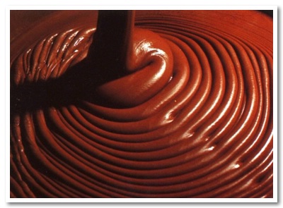 http://www.tortealcioccolato.com/wp-content/uploads/2008/02/cioccolata1.jpg
