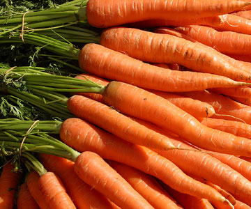 Torta alle carote per allergici al latte
