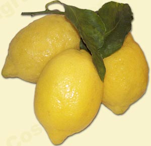 Dolce al limone