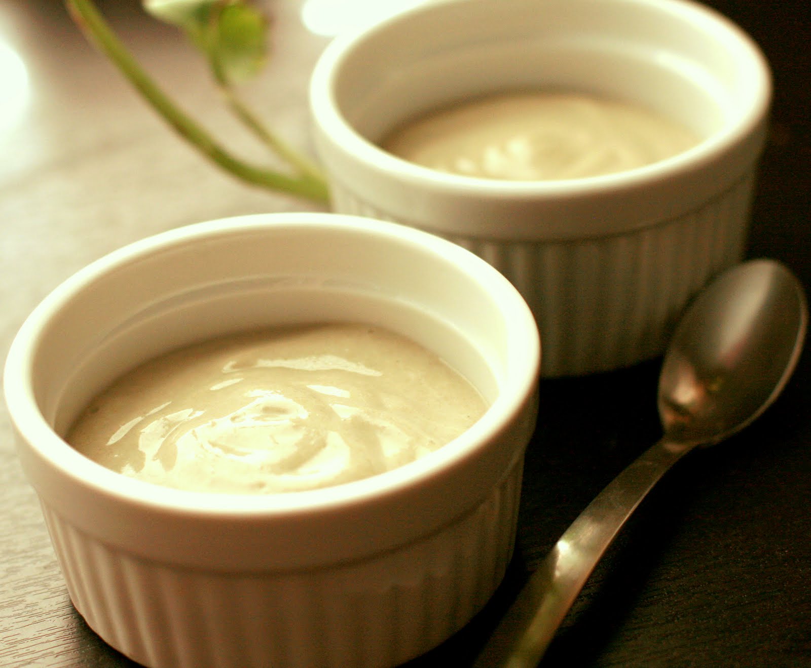 Budino ricotta e cioccolato con il bimby