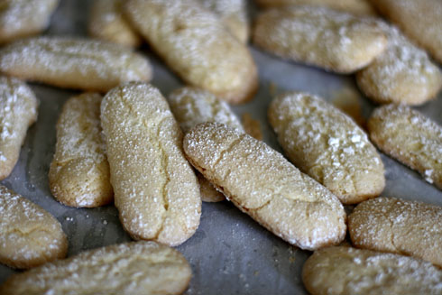 Biscotti savoiardi all’arancia e pinoli