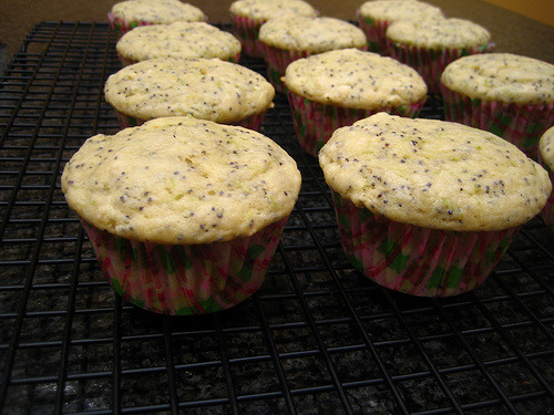 Muffin al lime con semi di papavero