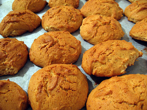 I biscotti speziati al miele per una dolcissima colazione