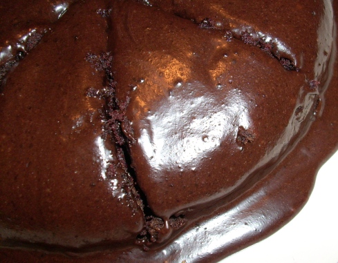 Torta al cioccolato, pinoli, noci e uvetta