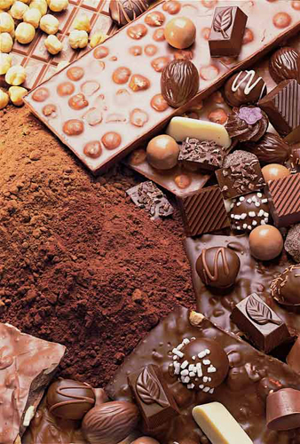 Firenze Fiera Cioccolato Artigianale 10 19 febbraio