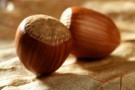 Dolcetti alla nocciole senza latte e uova Dolcetti alla nocciole senza latte e uova