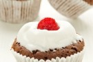 I cupcake al cioccolato e cocco con frosting al cocco