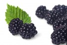 Bavarese alle more con fragole Bavarese alle more con fragole