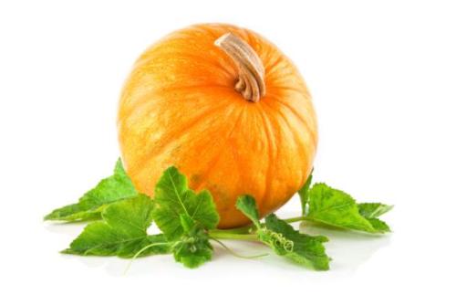 sorbetto zucca senza glutine