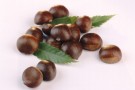 Budino di marmellata di castagne Budino di marmellata di castagne