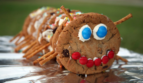 Bruco di biscotti per bambini