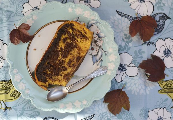 Torta zucca cioccolato