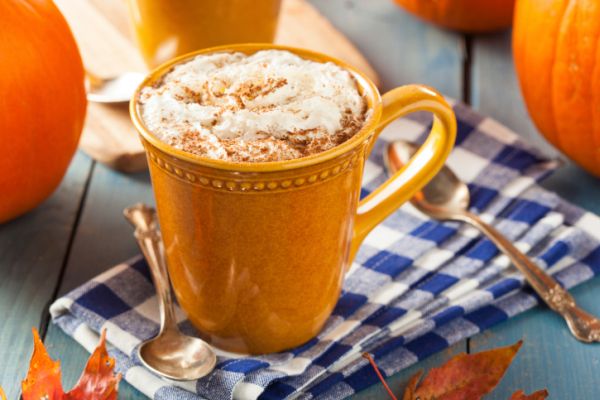 Latte zucca speziato