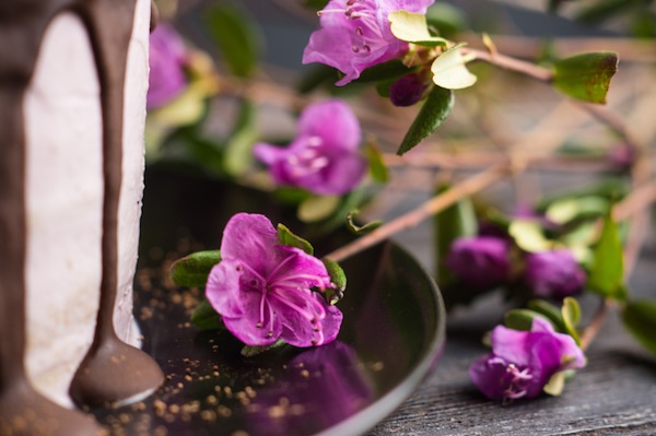 violette brinate, violette candite, decorazioni dolci