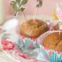 Muffin integrali con cocco e cioccolato 