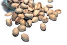 Biscotti verdi al pistacchio Biscotti verdi al pistacchio
