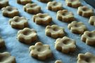 Biscotti canestrelli fatti in casa Biscotti canestrelli fatti in casa