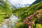 Dolci di Pasqua, Osterpinze del Tirolo