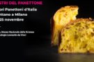 I Maestri del Panettone, la kermesse a Milano I Maestri del Panettone, la kermesse a Milano