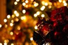 Natale, i dolci tradizionali delle regioni italiane Natale, i dolci tradizionali delle regioni italiane