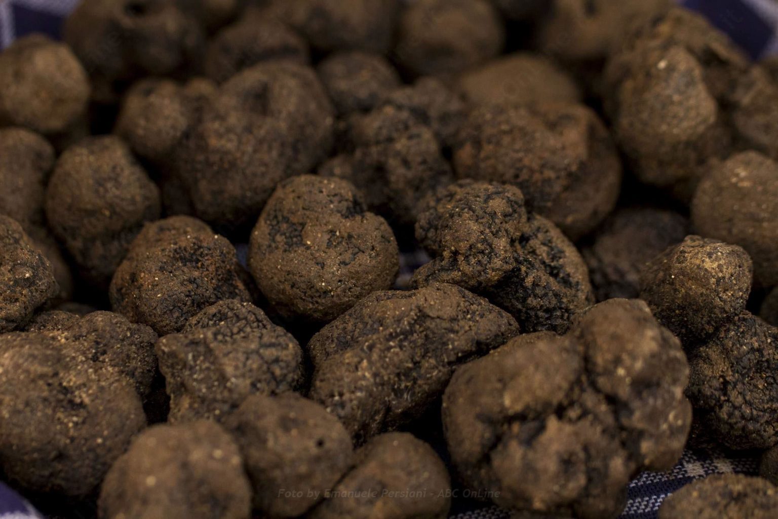 » Il tartufo, un fungo perfetto anche per i dolci, alcune idee » Il tartufo, un fungo perfetto anche per i dolci, alcune idee