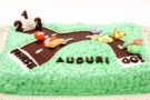 Idee per le torte di compleanno dei bambini Idee per le torte di compleanno dei bambini