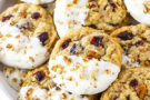 Biscotti di farina d’avena al mirtillo rosso ricoperti di cioccolato bianco Biscotti di farina d’avena al mirtillo rosso ricoperti di cioccolato bianco