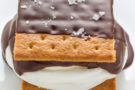 Dolce e Salato: cucciolone artigianale con cracker, marshmallow e cioccolato Dolce e Salato: cucciolone artigianale con cracker, marshmallow e cioccolato
